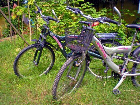 Mountain Bikes