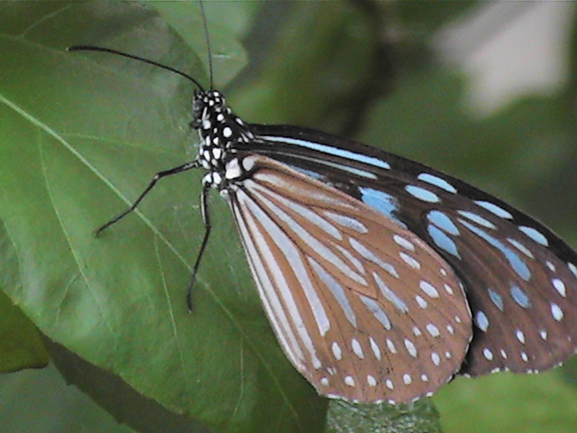 adventure cambodia Siem Reap Travel