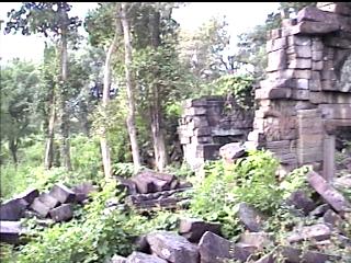 Jungle Temple
