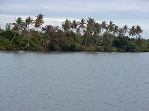Cycling Tour