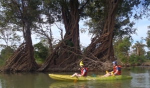 Flooded Forests Kayak Tour