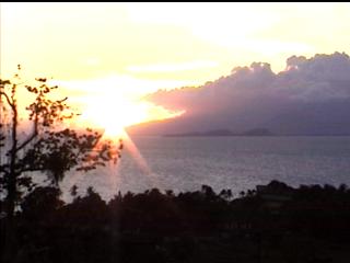 kep jungle Cambodia