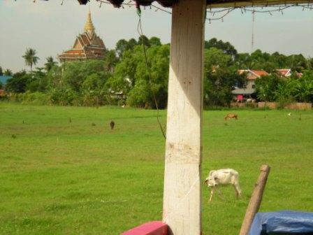 Mekong Island Bicyle Tour