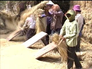 rural Cambodia