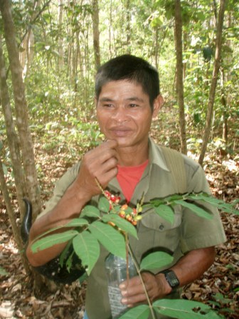 Virachey National Park Guide
