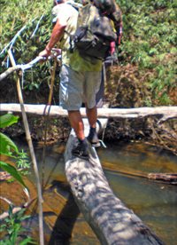 virachey national park trek